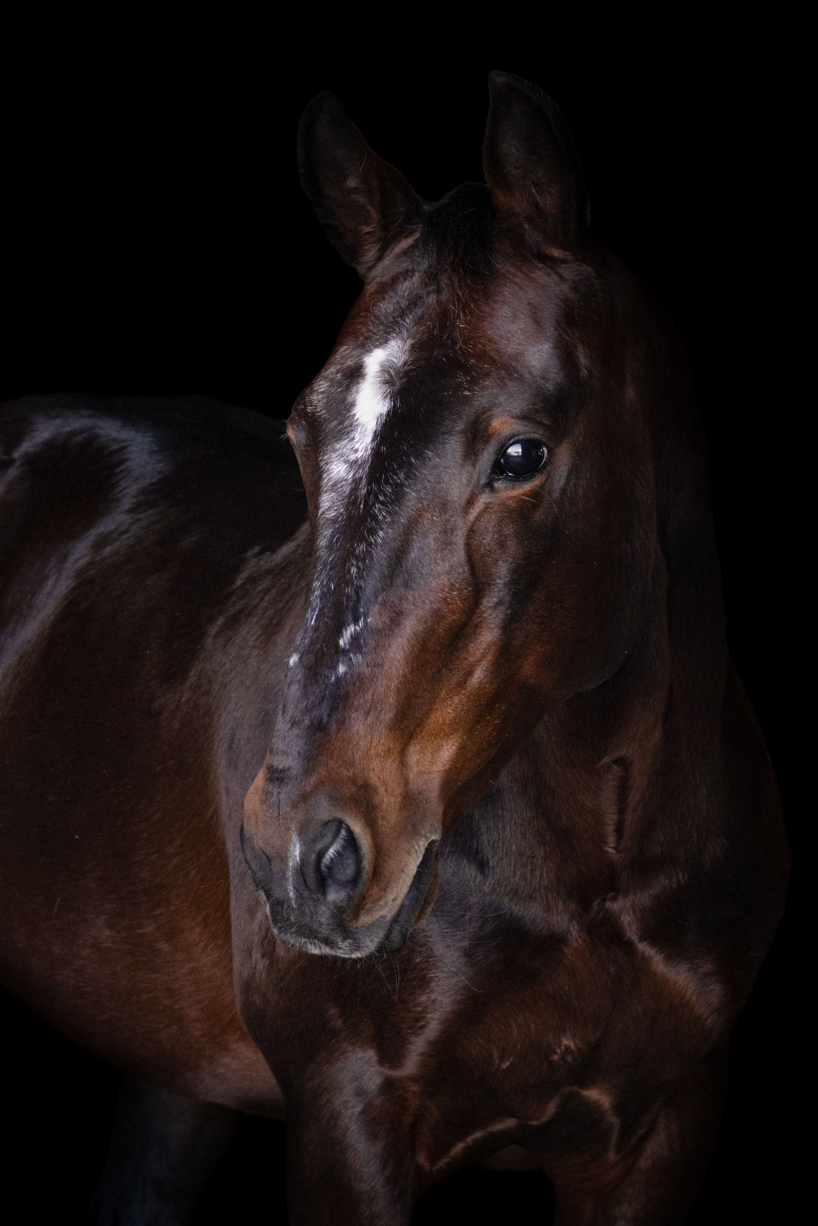 progeny_img