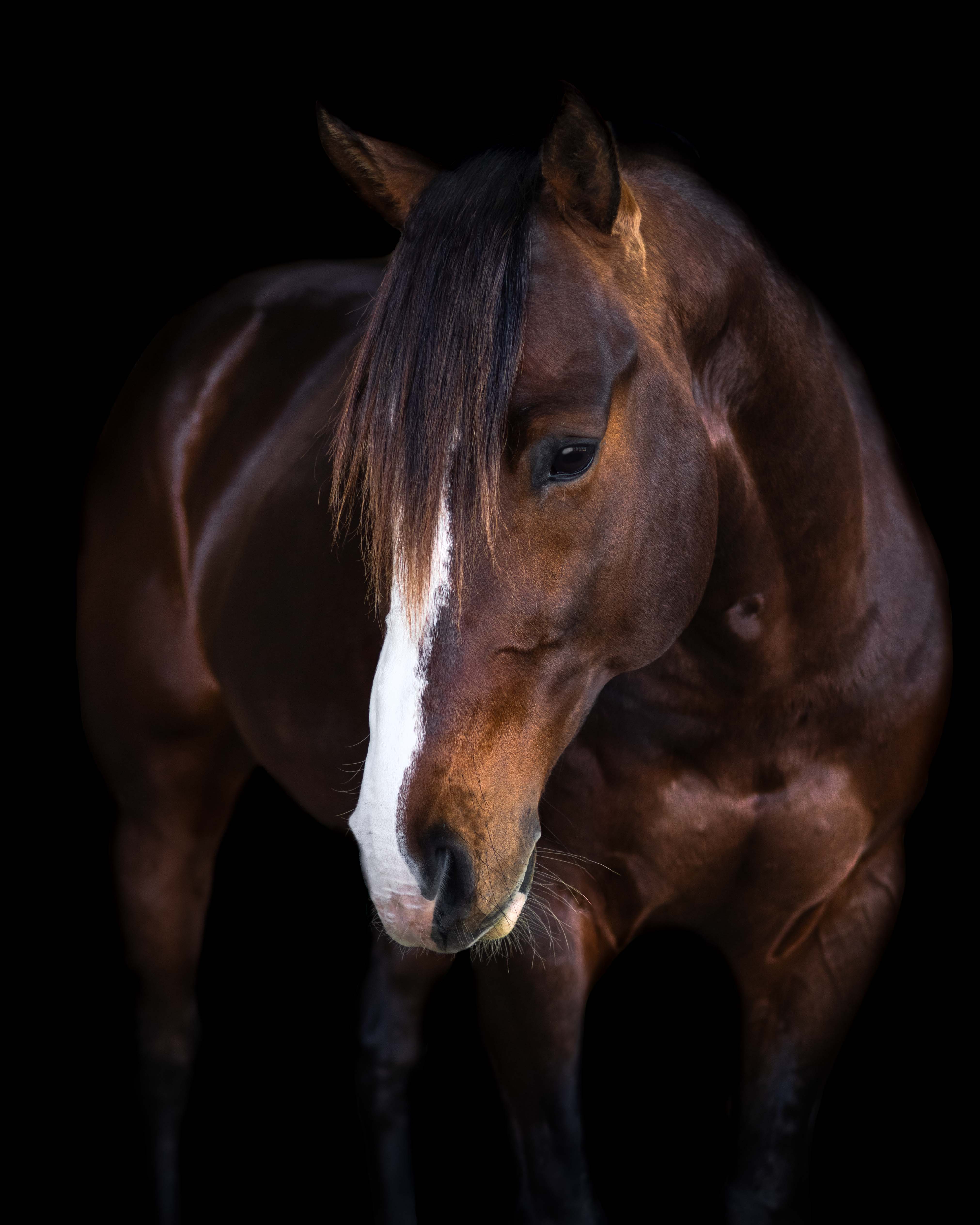 progeny_img