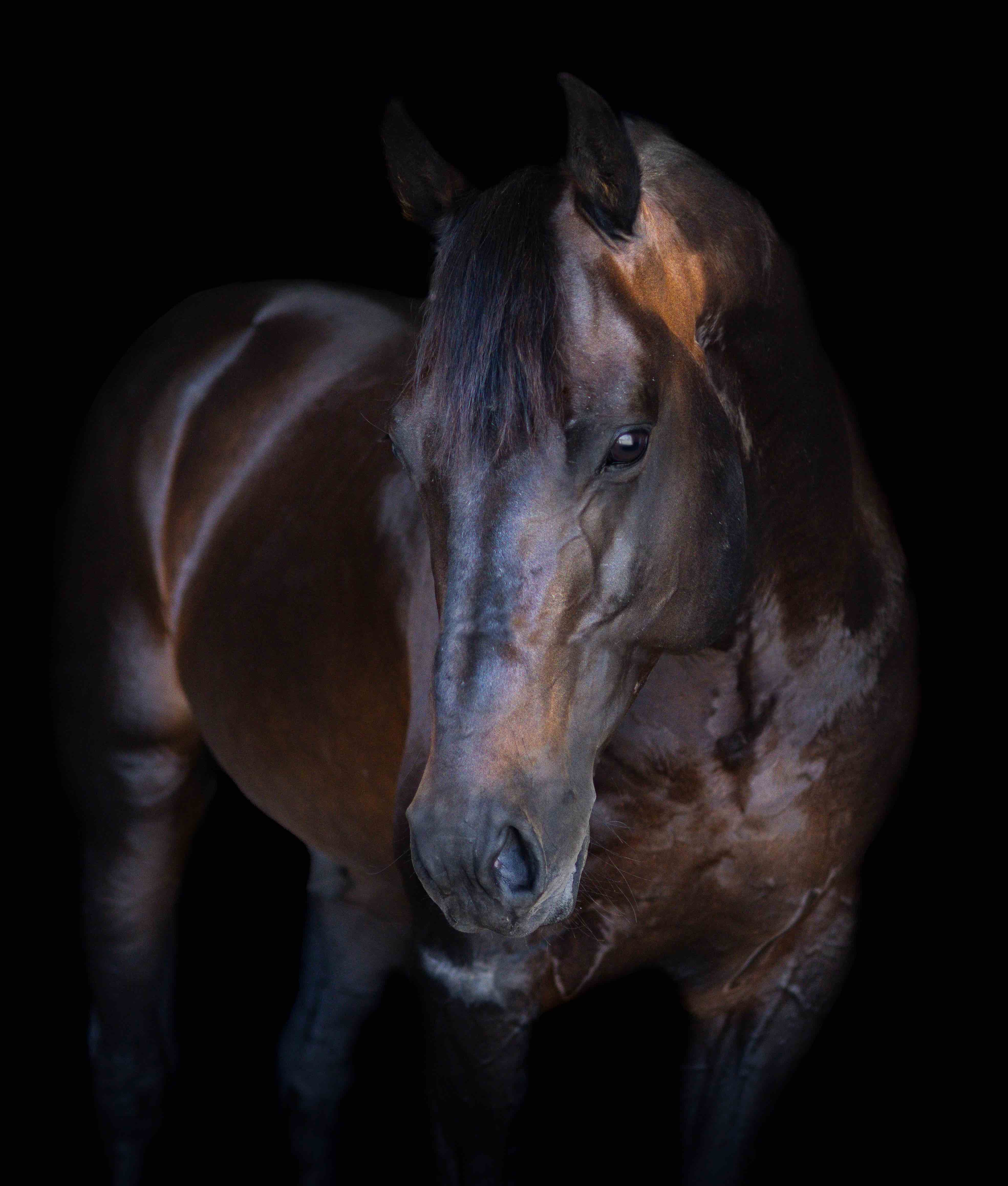 Profile image of BRENWON MOORE ROX 
      taken on 01 February 2026       at NSW 