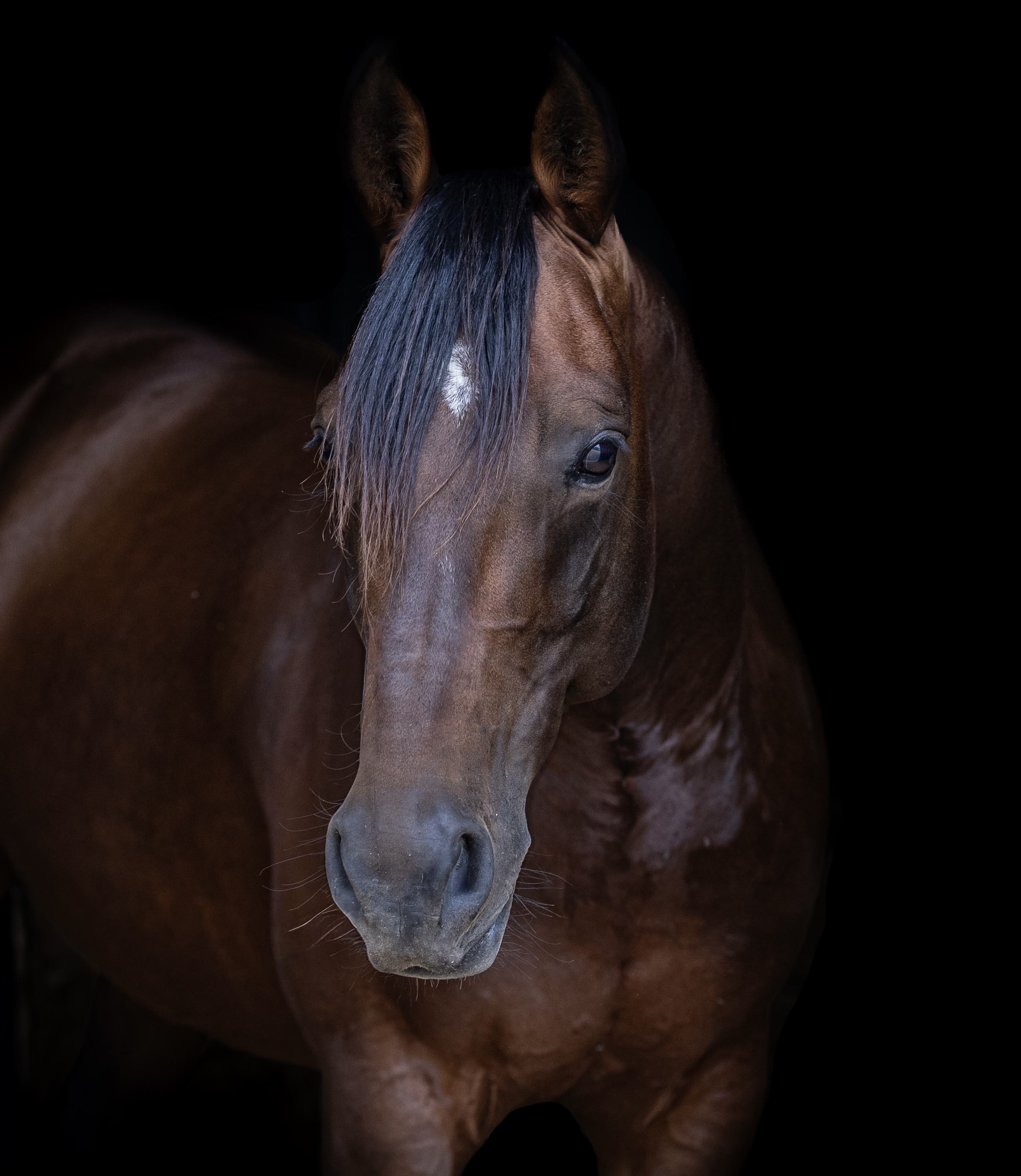 Profile image of WESTERN ACRES 
      taken on 01 March 2026       at NSW 