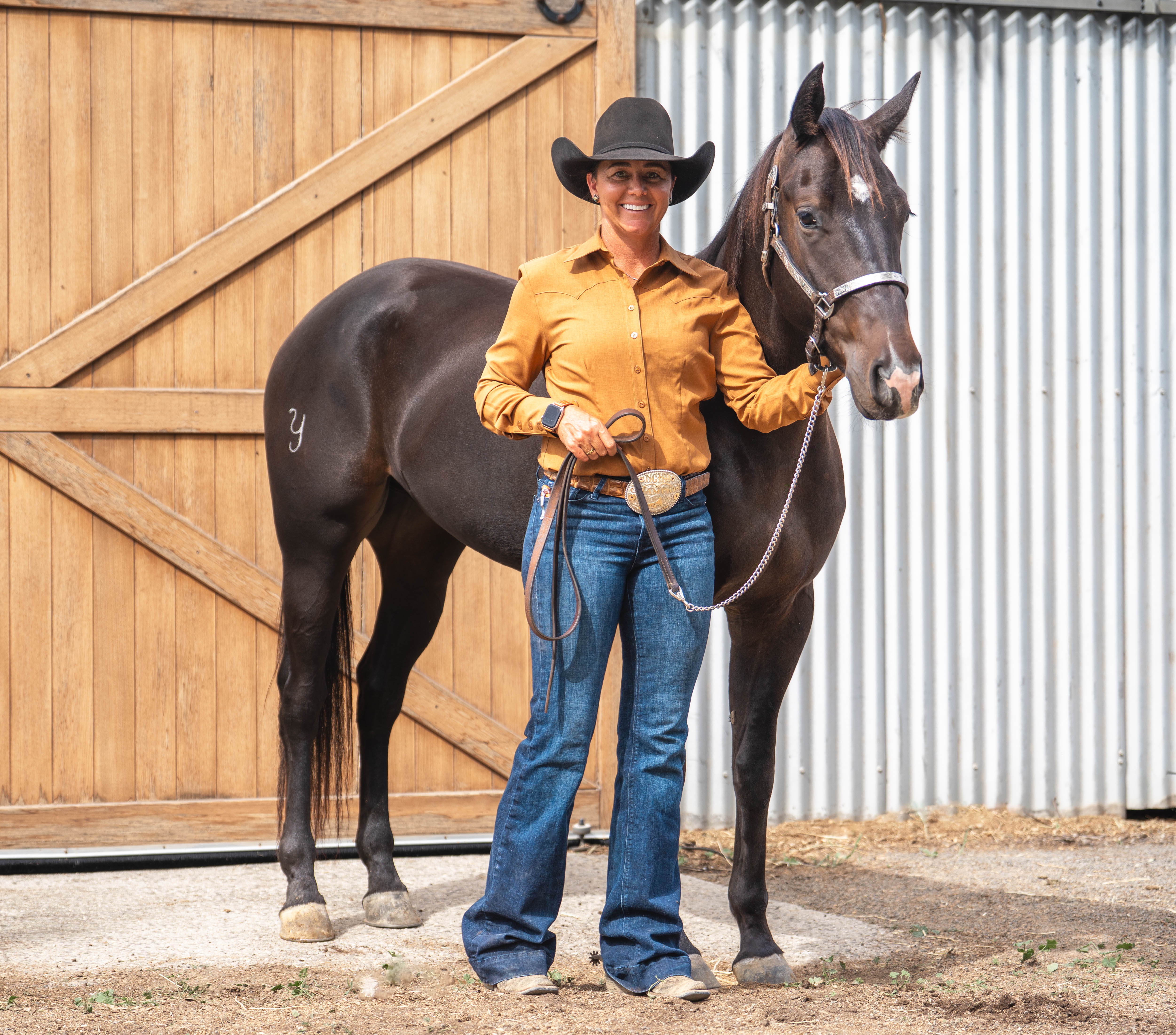 stallion image