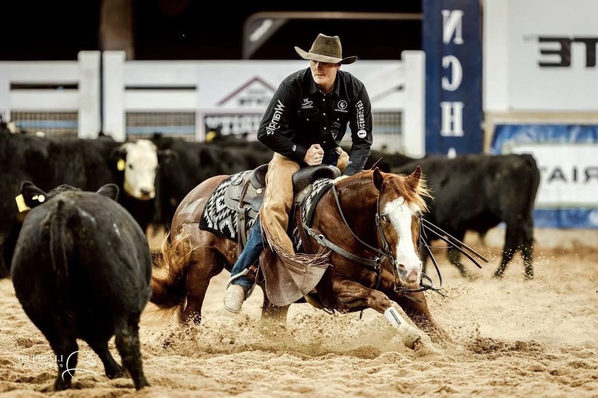 Background Story Image of LIL BUGATTI taken on 22 January 2026 at Tyler Hoffman Performance Horses Lil Bugatti Tamworth Futurity Tyler Hodgman