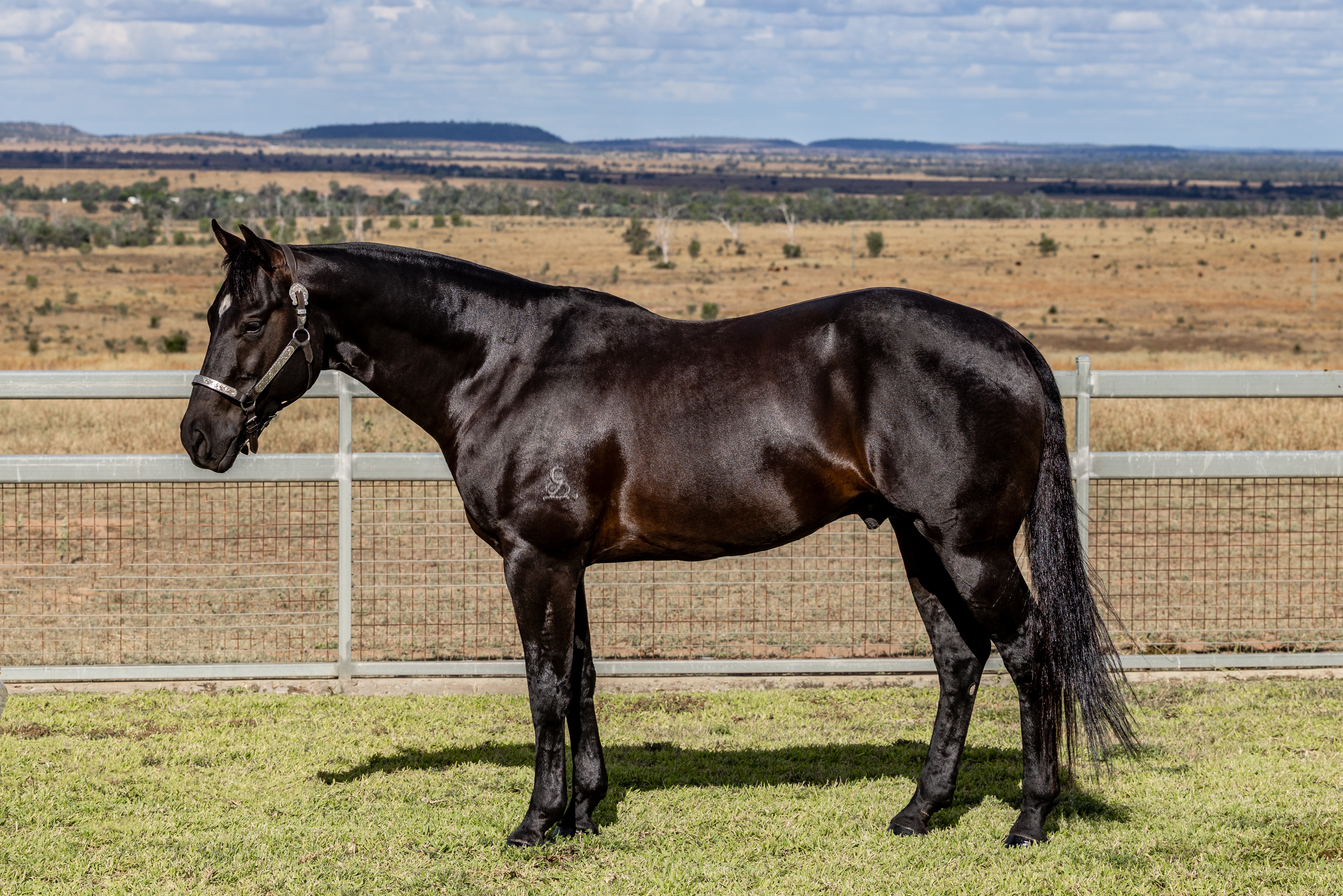 Body Shot Nearside Landscape of LYRA PARK DELT ME N ACRE taken on 01 May 2026 at QLD LYRA PARK DELT ME N ACRE nearside