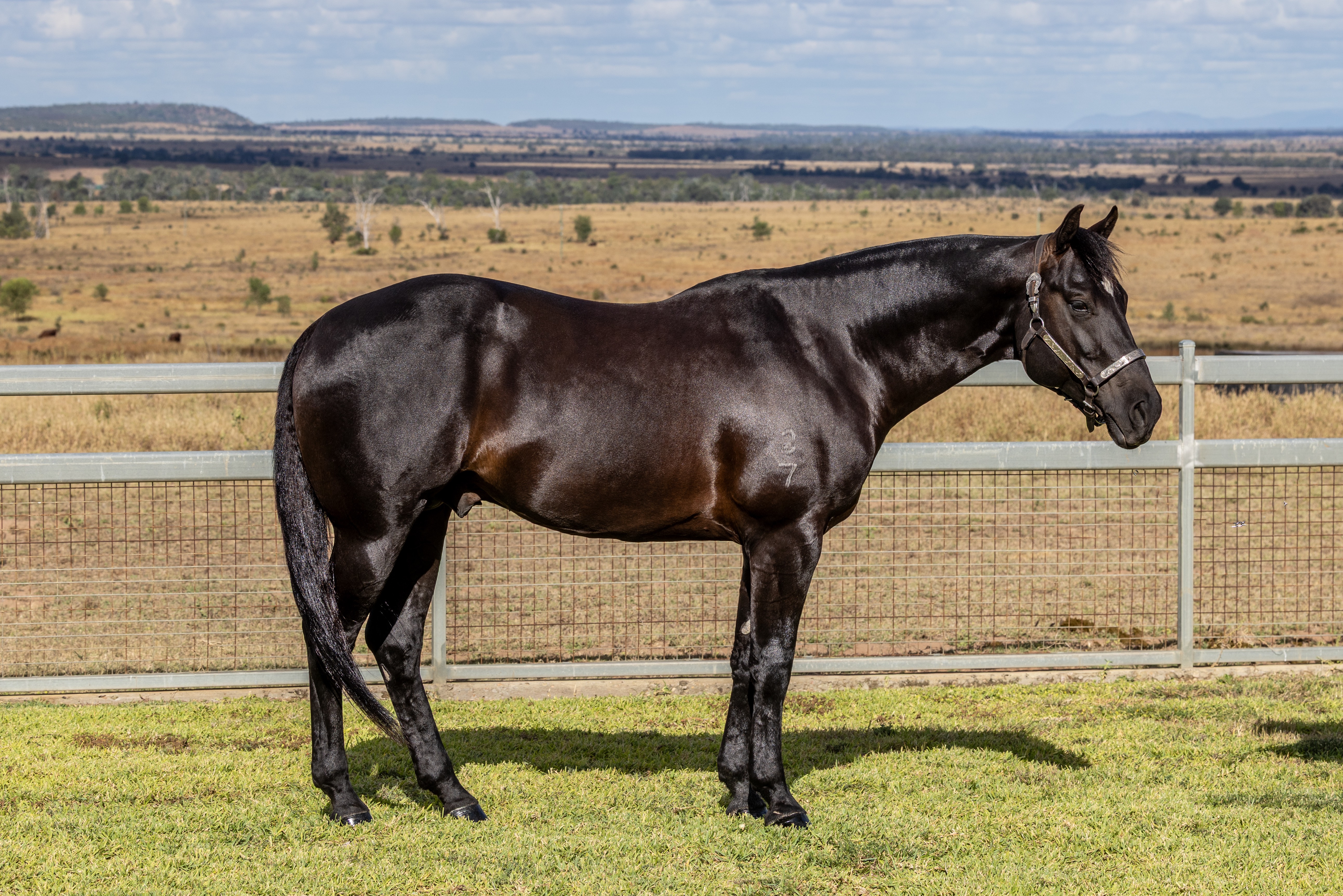Body Shot Nearside Landscape of LYRA PARK DELT ME N ACRE taken on 01 May 2026 at QLD LYRA PARK DELT ME N ACRE nearside