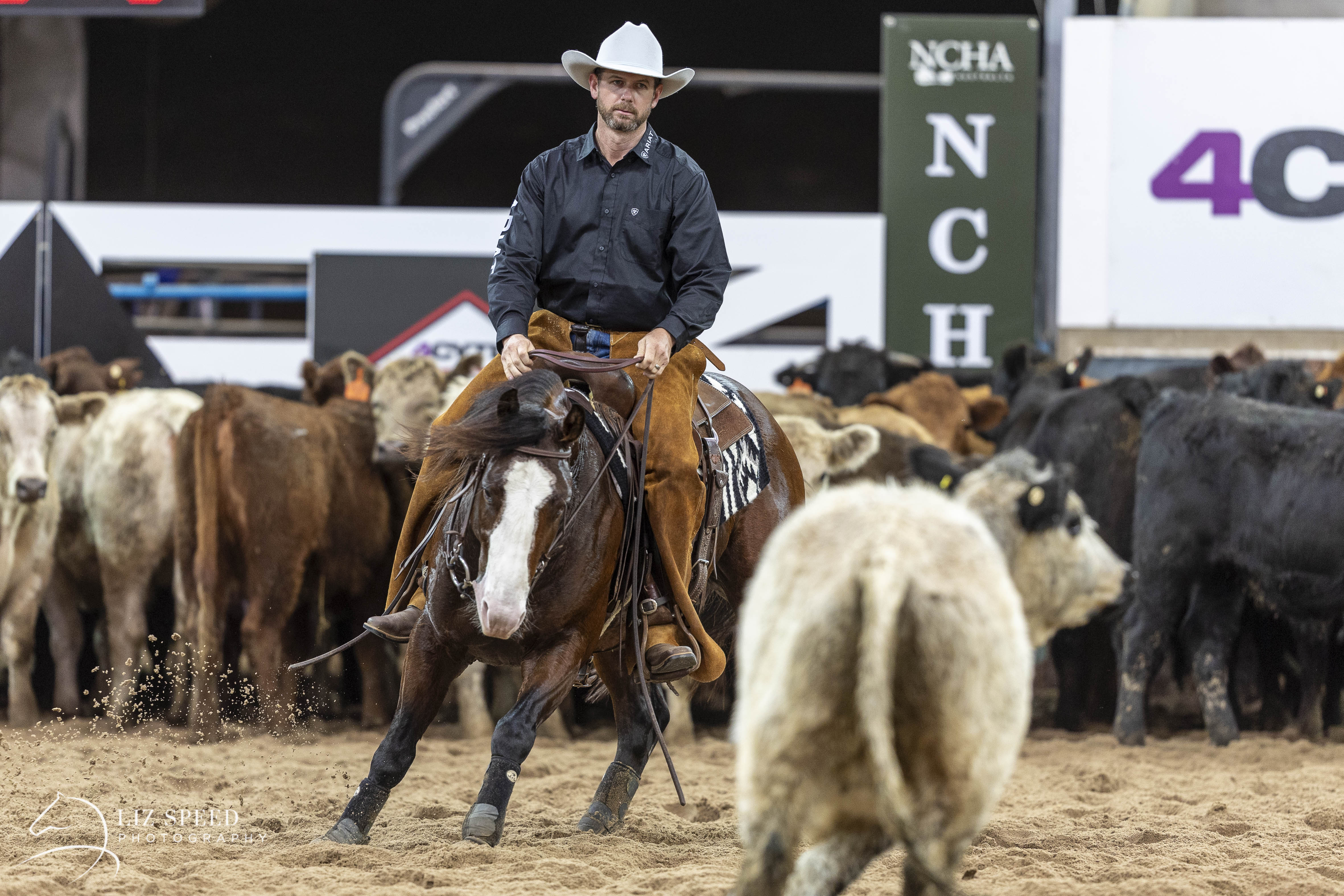 Performance History Image of BAD BOY taken on 25 May 2026 at NCHA Futurity 2026 BAD BOY-7