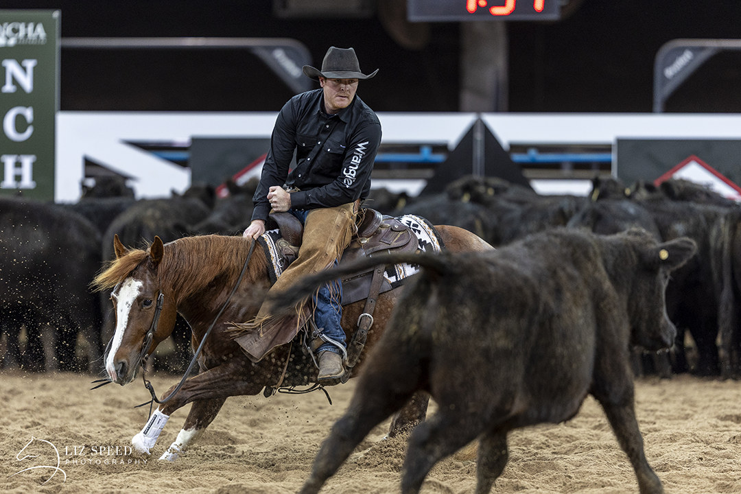 Performance History Image of BADBOON TIME taken on 31 May 2026 at NCHA Futurity Tamworth BADBOON TIME cutting tamworth