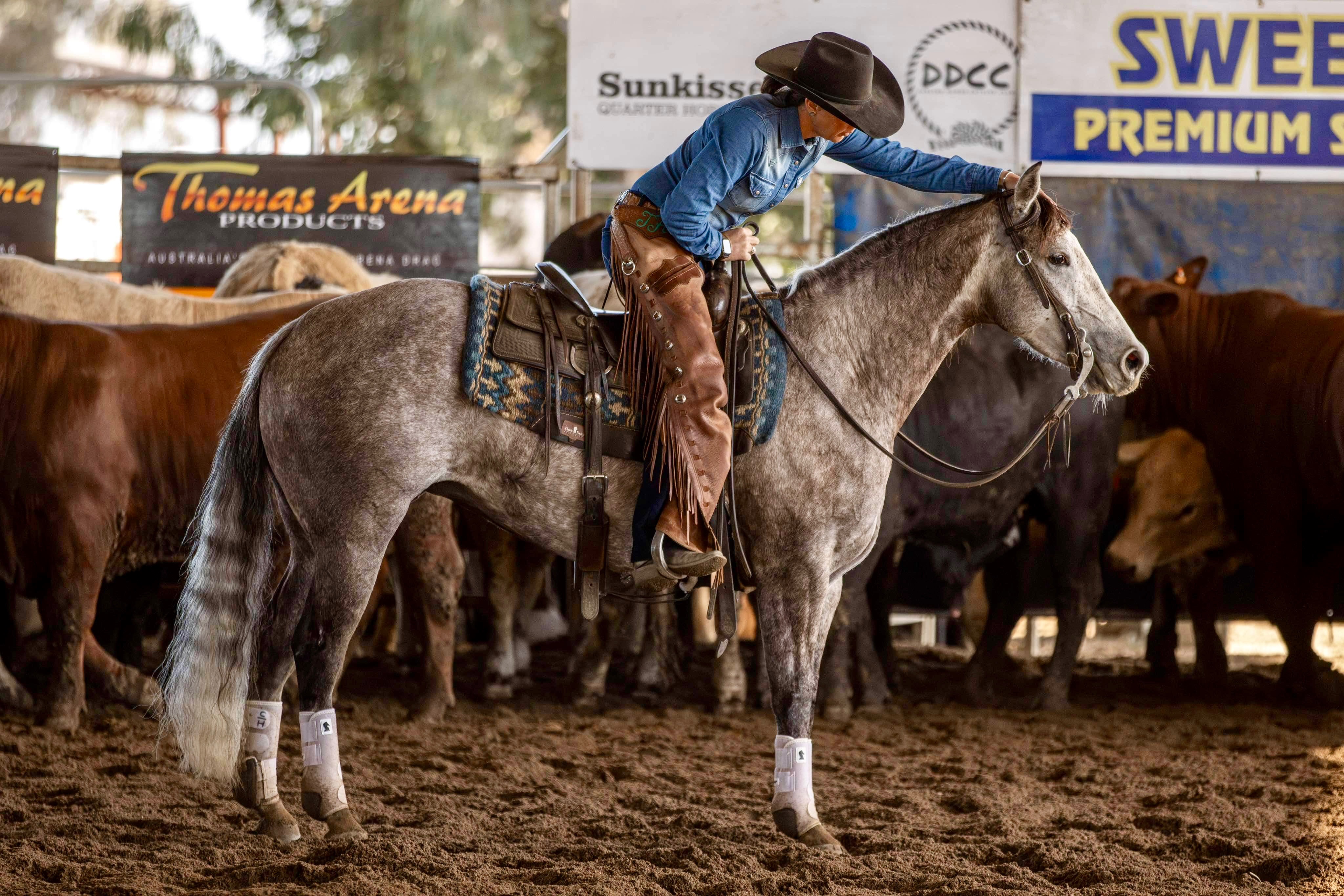 Performance History Image of CASHS LEGACY taken on 01 May 2026 at NSW Cashs Legacy Scone Futurity Trudy Holden