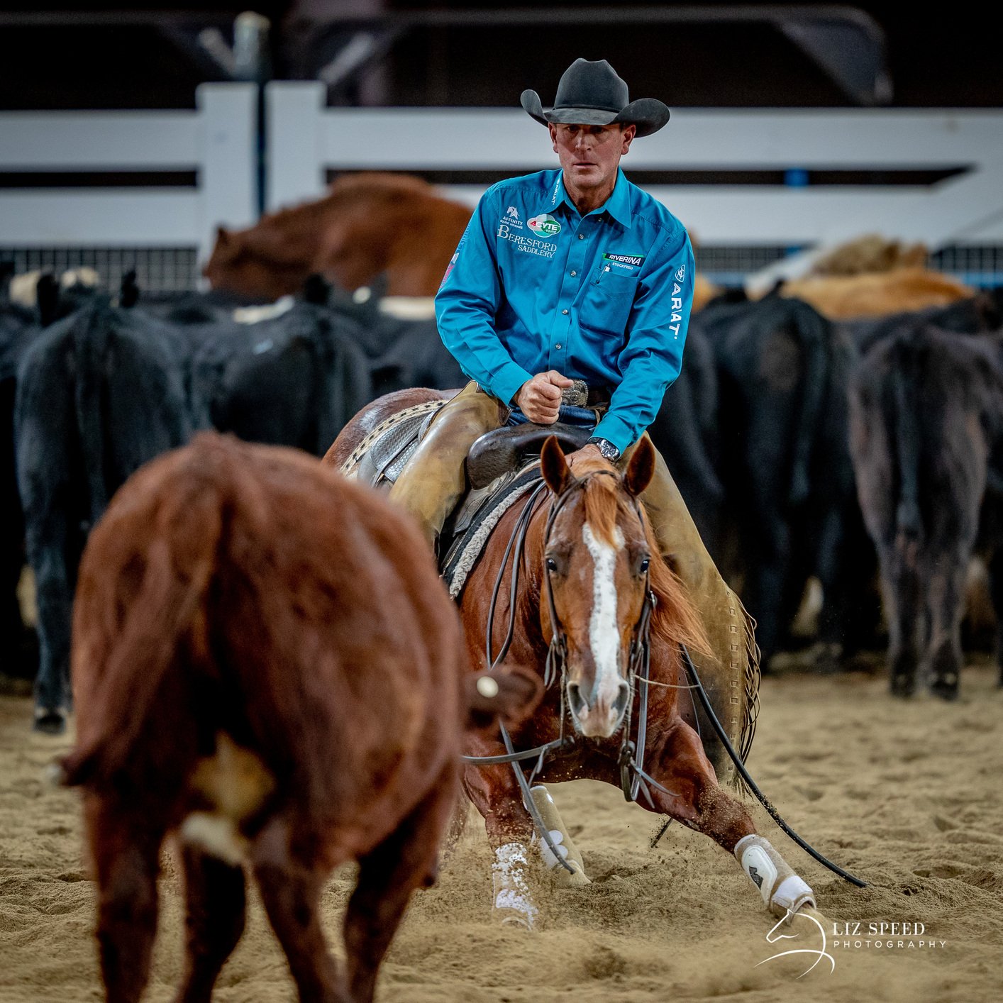 Performance History Image of HEAVY METAL taken on 01 August 2026 at NSW HEAVY METAL TODD GRAHAM TAMWORTH FUTURITY